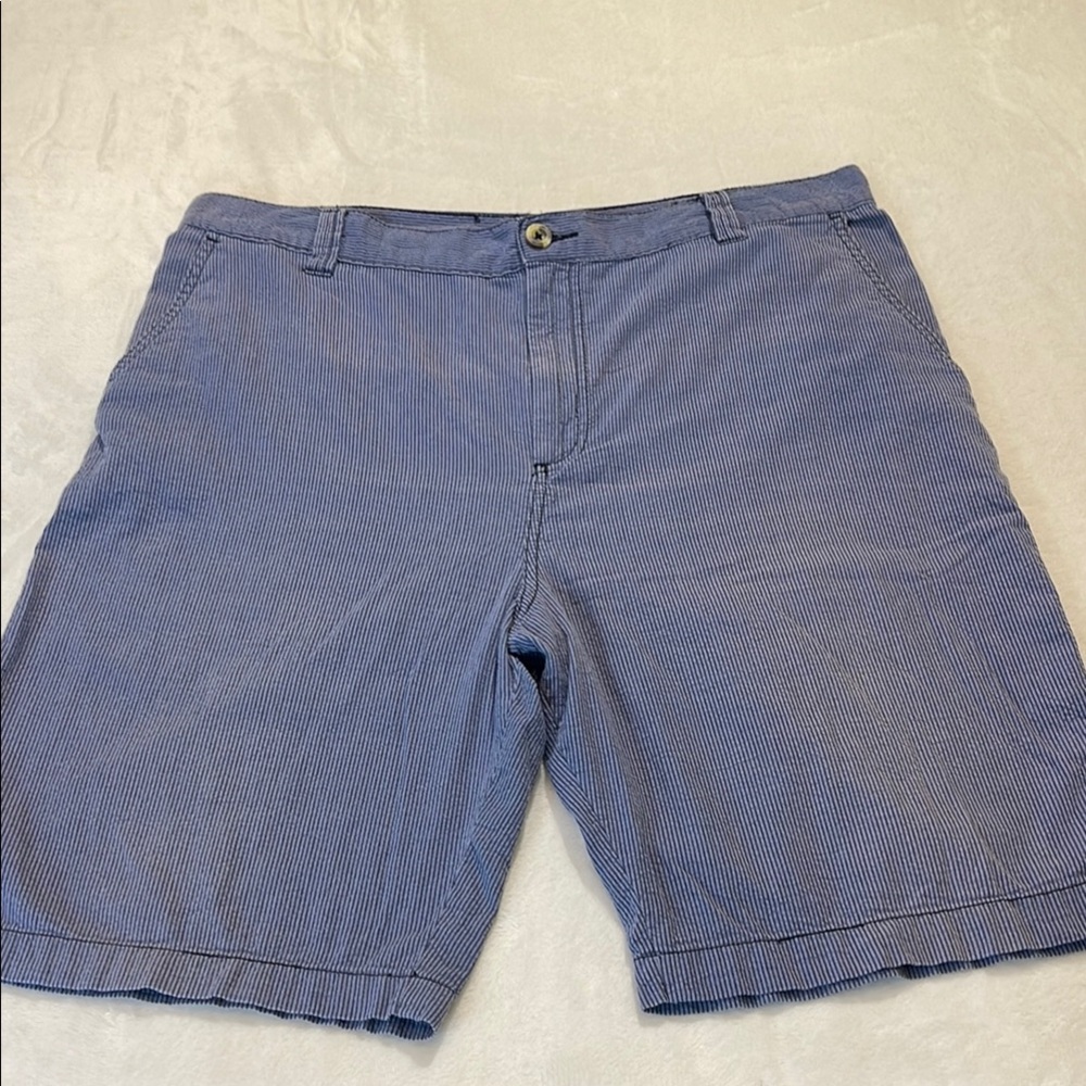 ACADEMY SIZE 38 Men's Blue Striped Shorts